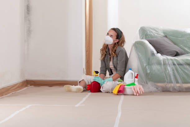 Reliable Mold Removal contractor in Andover, MA by WQB Mold Removal